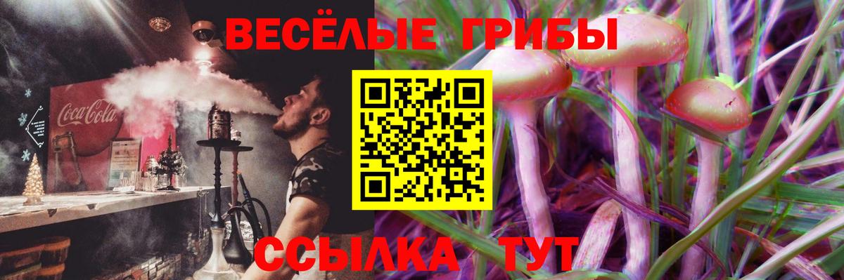 Сургут  Псилоцибиновые грибы ЛСД  Вход с VPN 