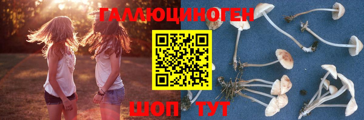 Псилоцибиновые грибы прущие грибы Сургут